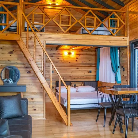 Hotel Tringo 3*