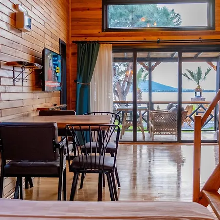 Tringo Ayvalik