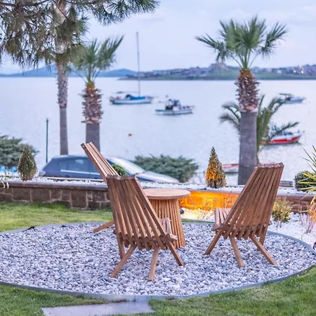 Tringo Ayvalik