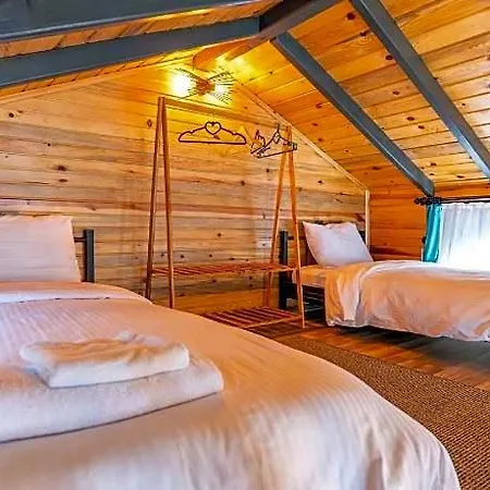 Tringo Hotel 3*