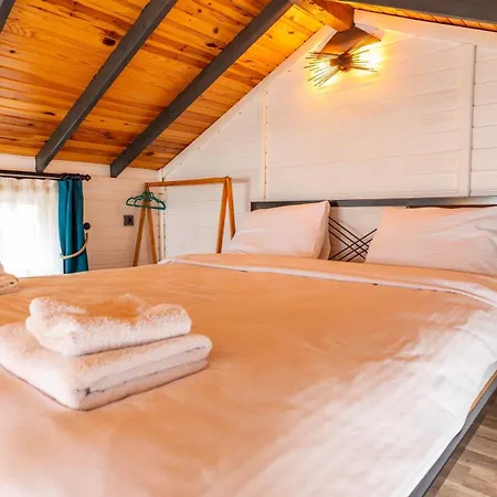Hotel Tringo